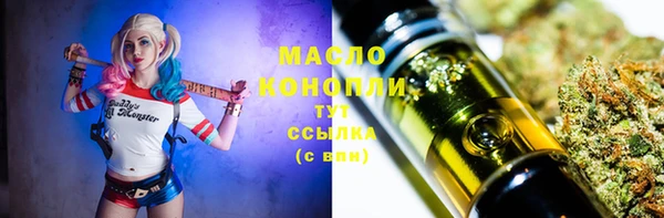 тгк Богородицк