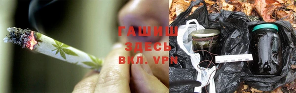 эйфоретик Богданович
