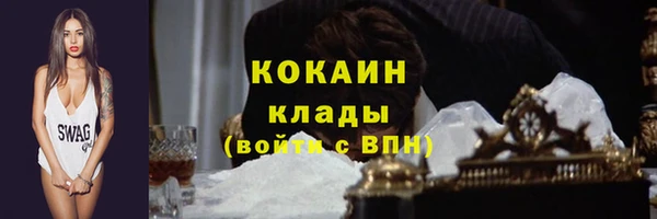 тгк Богородицк