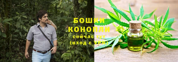 эйфоретик Богданович