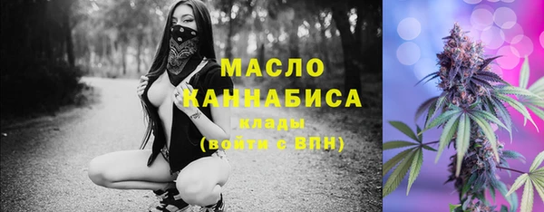 тгк Богородицк