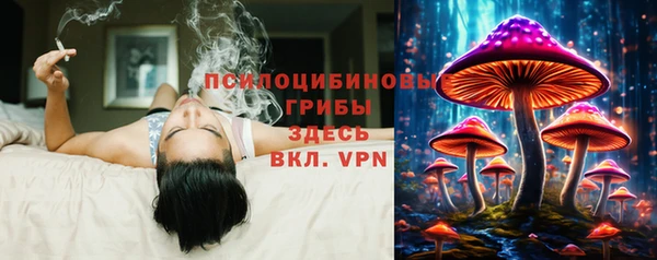 тгк Богородицк