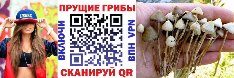 Галлюциногенные грибы MAGIC MUSHROOMS Севастополь